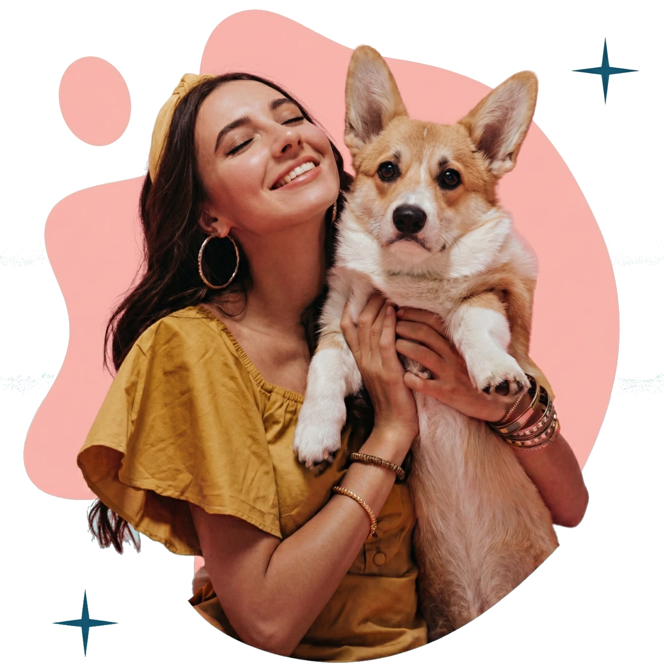 Happy dogs playing in the cage-free daycare area at Velvet Foster Home Kolkata