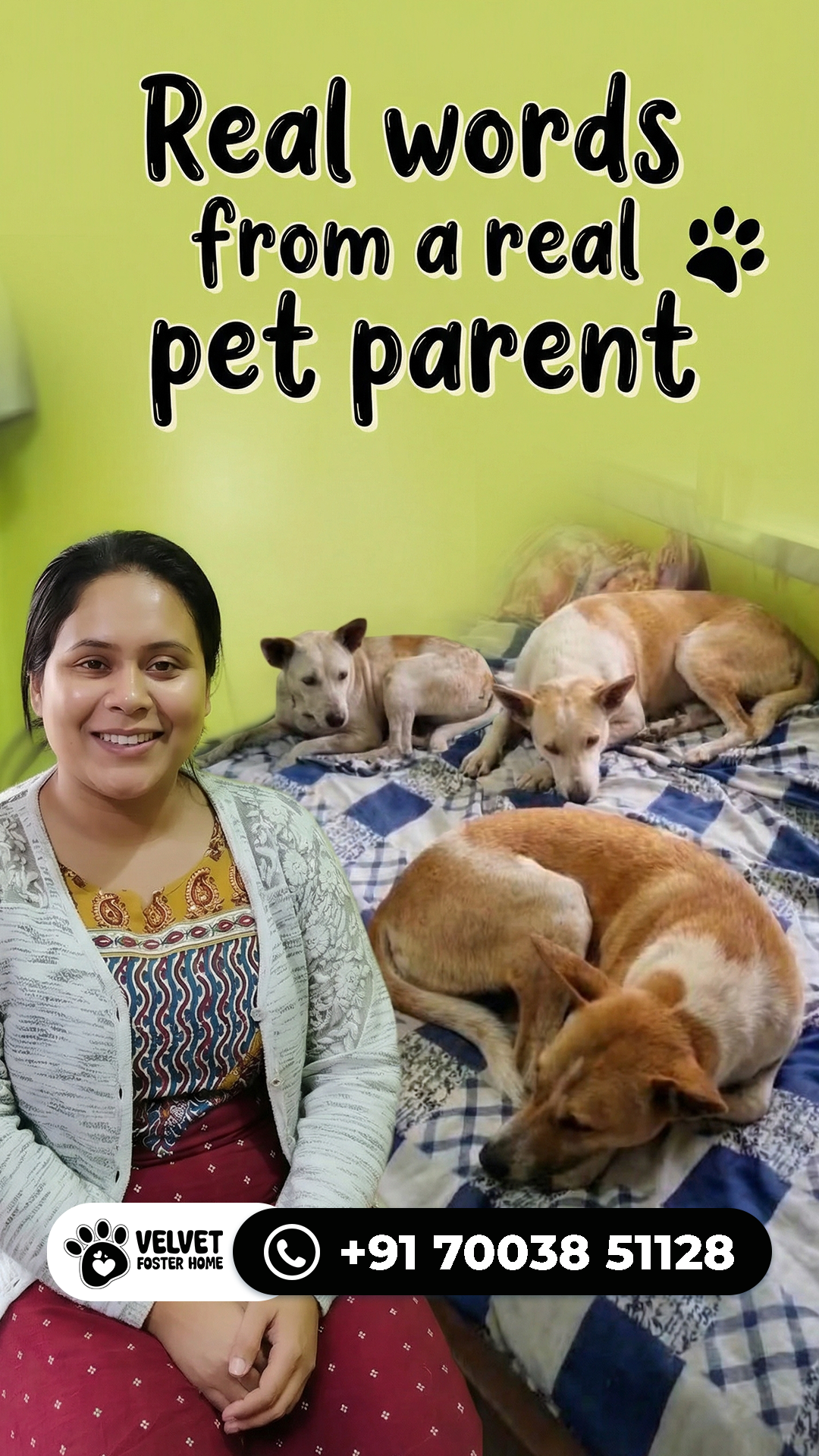 Happy pet boarding guest
