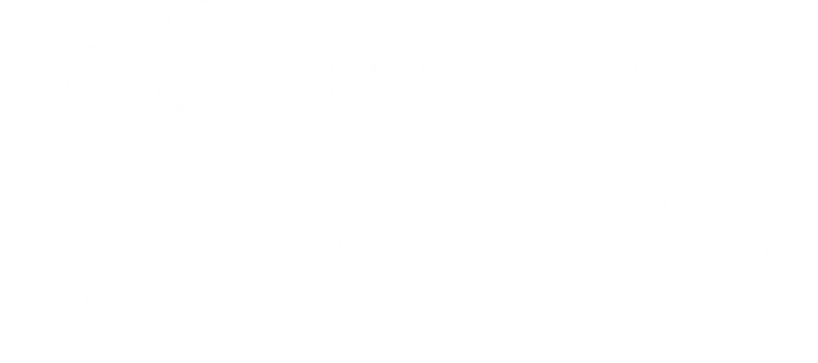 Velvet Foster Home - Best Pet Creche in Kolkata